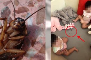 Ditinggal ibunya main sendiri, dua balita ini makan kecoak