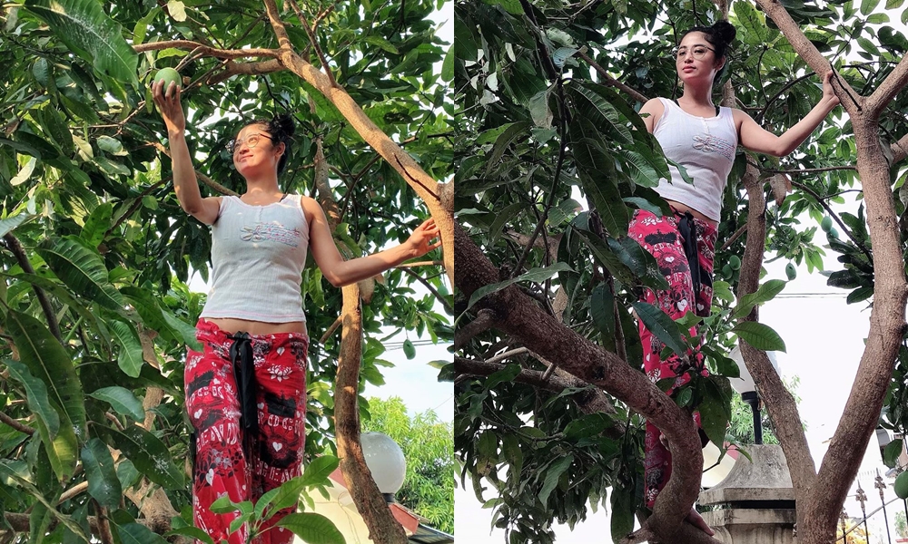 Aksi Dewi Perssik manjat pohon mangga ini bikin gagal fokus