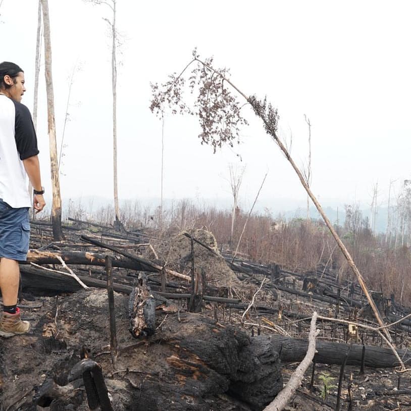 Peduli kebakaran hutan Jambi, Chicco Jerikho tanam pohon