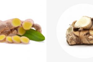 20 Manfaat kunyit putih untuk kesehatan dan kecantikan