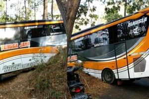 Sopir pakai GPS, bus ini tersesat dilewatkan hutan belantara