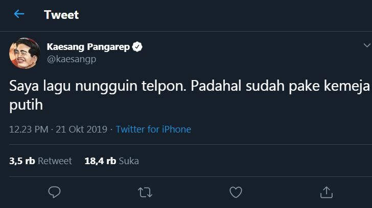 Jokowi panggil calon menteri ke Istana, reaksi Kaesang kocak