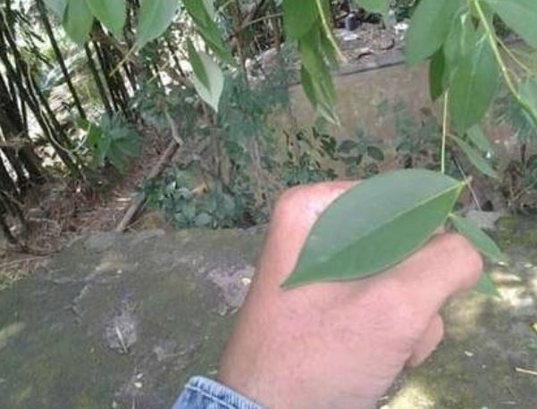 10 Benda ini bikin generasi 90-an nostalgia masa kecil