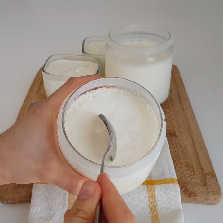 Langkah langkah membuat yogurt
