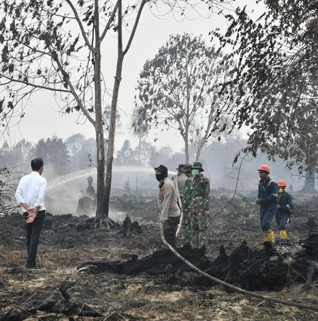 Selain duduk, 7 gaya khas Presiden Joko Widodo ini ikonik