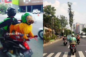 10 Potret totalitas driver ojek online bawa barang orderan, kocak