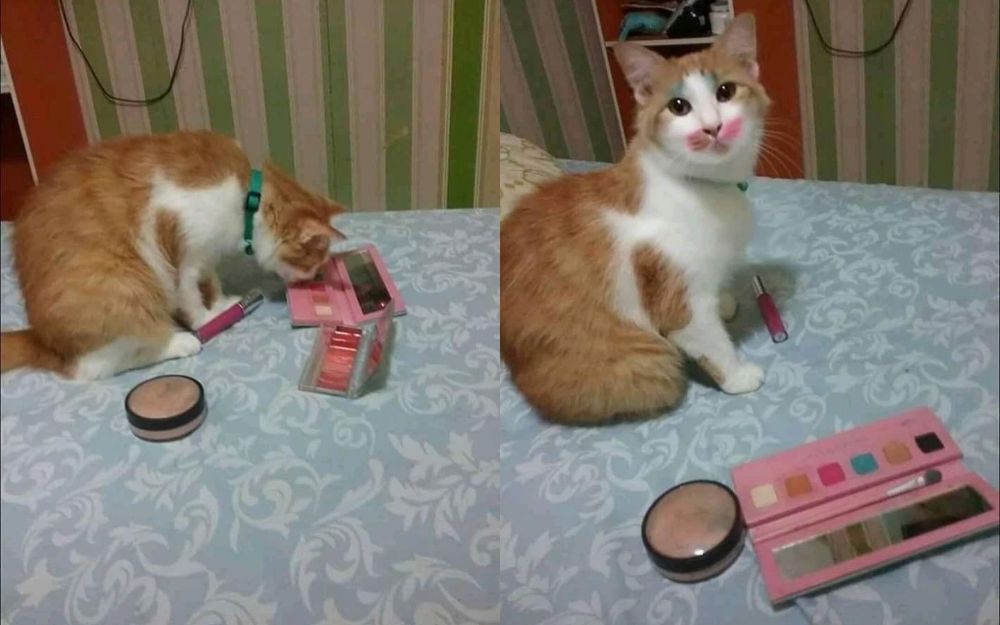 8 Kelakuan ini dijamin bakal bikin hati emak meradang