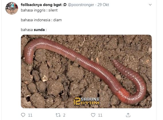 10 Pelesetan bahasa Sunda ini bikin mikir dua kali