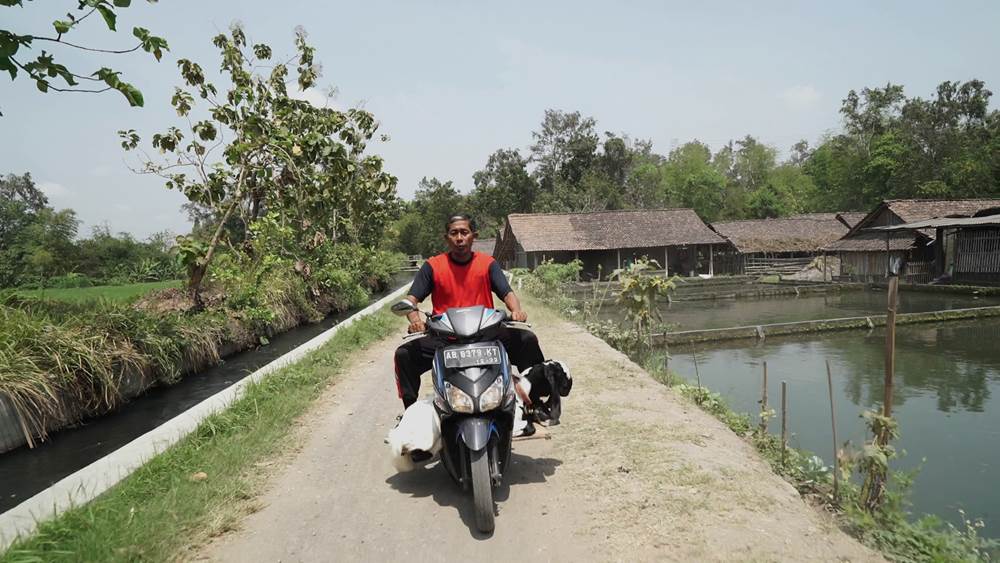 Gandung, sosok yang bikin heboh ajak bebek-kambing jalan santai