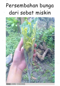 10 Meme lucu sobat miskin mencoba romantis bikin senyum getir