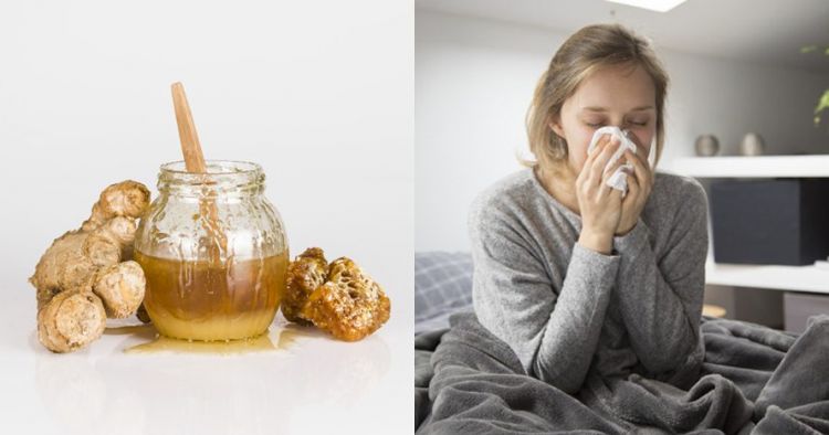 7 Manfaat jahe dan madu untuk kesehatan