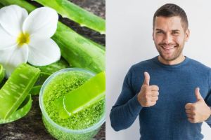 7 Manfaat lidah buaya untuk pria dan cara menggunakannya