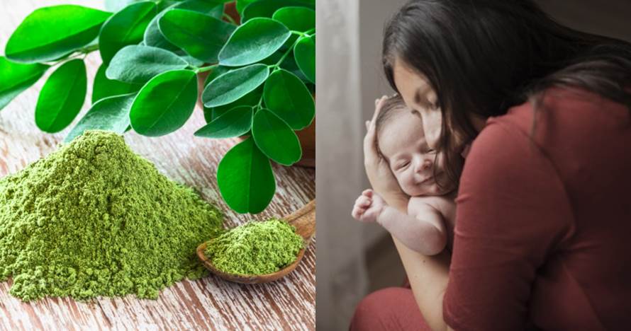 9 Manfaat daun kelor untuk ibu menyusui & cara gunakannya