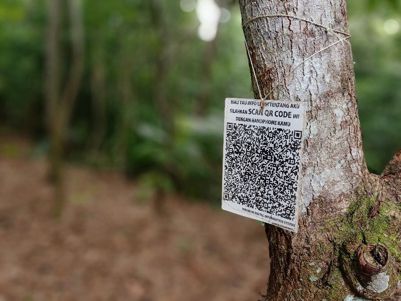 Di desa wisata ini, pengunjung bisa mengenal pohon dengan Kepo