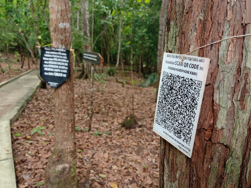 Di desa wisata ini, pengunjung bisa mengenal pohon dengan Kepo