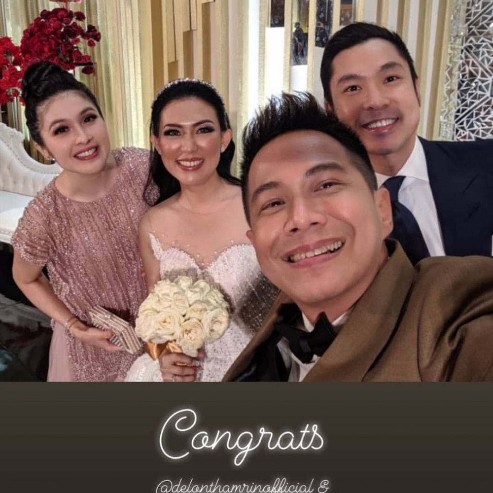 9 Momen resepsi pernikahan Delon Thamrin & Aida Chandra, meriah