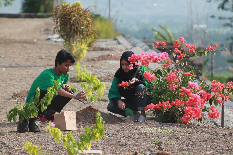 Ratusan mahasiswa hijaukan Situs Ratu Boko dan Candi Ijo, ada apa ya?