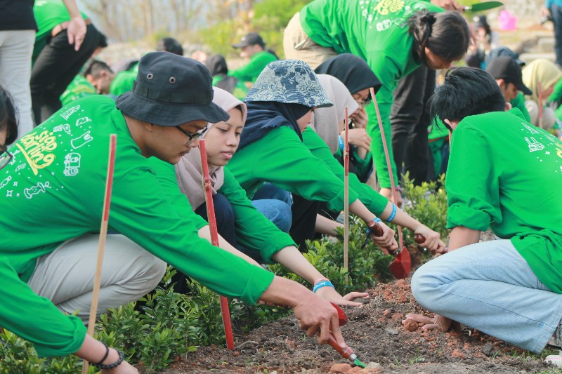 Ratusan mahasiswa hijaukan Situs Ratu Boko dan Candi Ijo, ada apa ya?