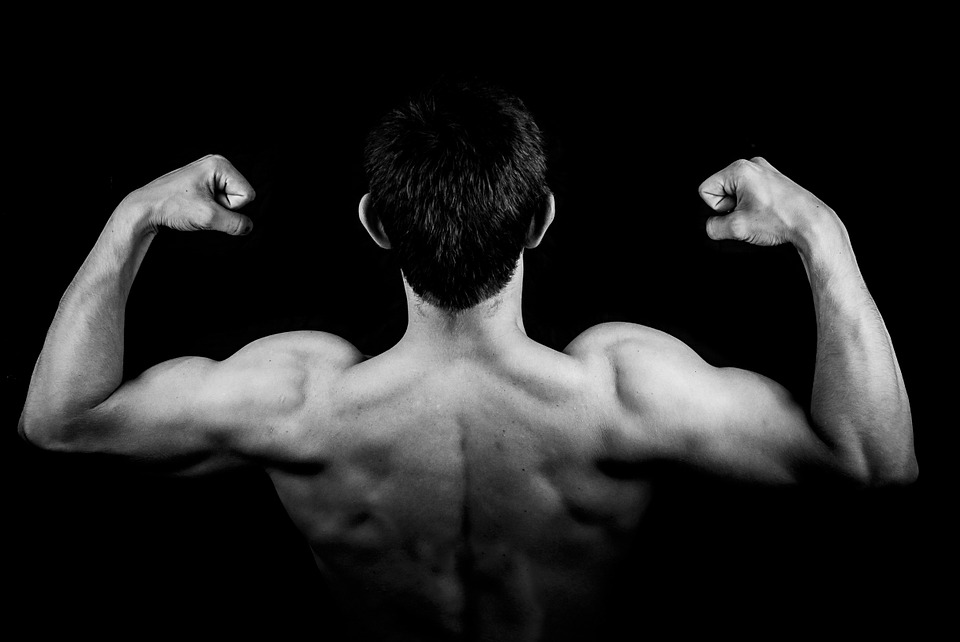 10 Cara membesarkan otot lengan  pria mudah dan tanpa fitnes