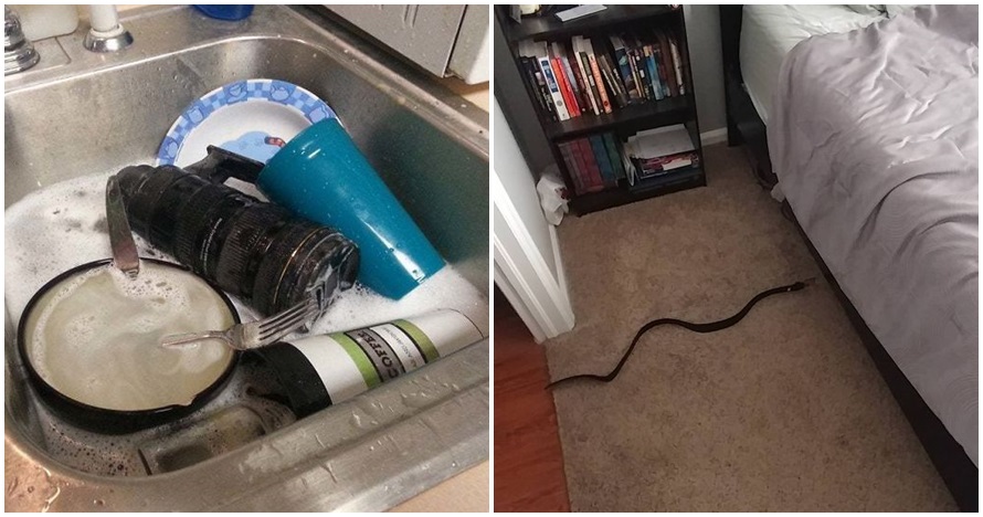 15 Foto ini bikin ketar-ketir tapi aslinya bikin tepuk jidat