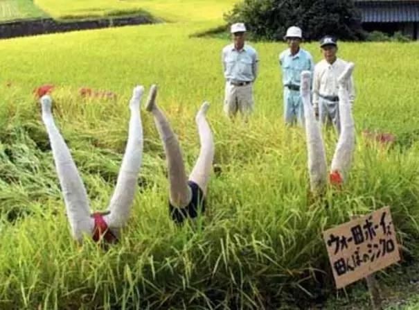 11 Orang-orangan sawah di Jepang ini unik dan serem abis