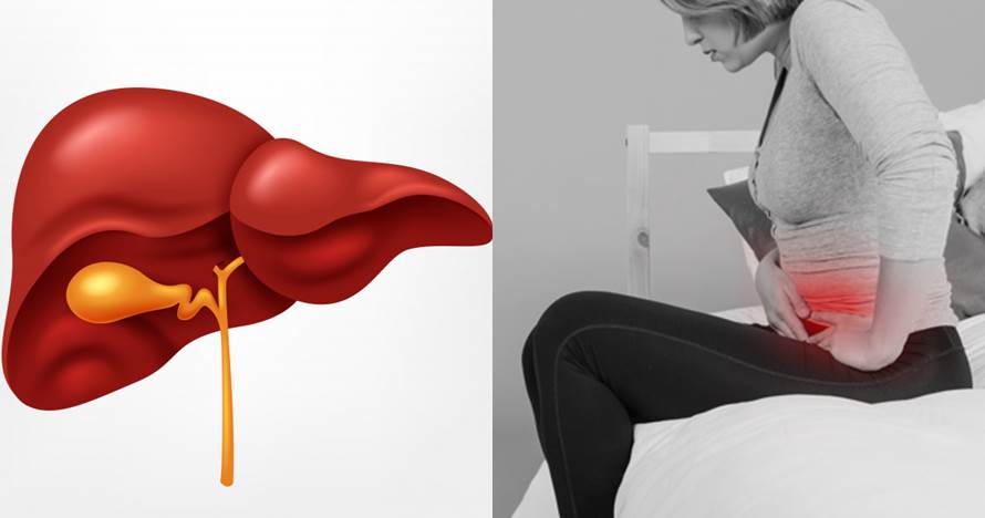 6 Fungsi empedu manusia dan cara mudah menjaganya