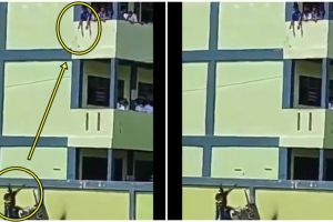 Viral, skill marketing level dewa penjual ini bikin melongo 