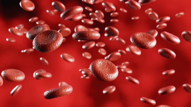 11 Fungsi darah pada tubuh manusia dan jenis-jenis sel darah
