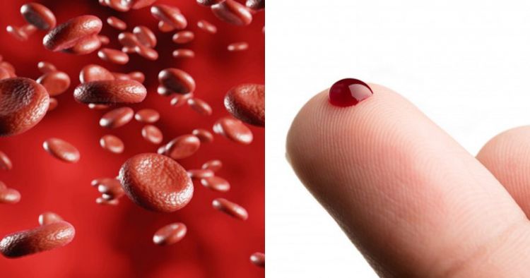 11 Fungsi Darah Pada Tubuh Manusia Dan Jenis Jenis Sel Darah
