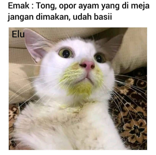 111 Kata-kata lucu bergambar terbaru, gokil dan bikin ngakak