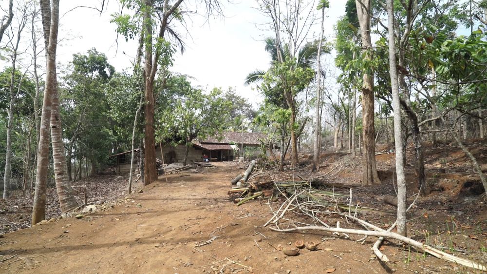 Kisah Kampung Pitu Nglanggeran, kampung yang wajib dihuni 7 KK