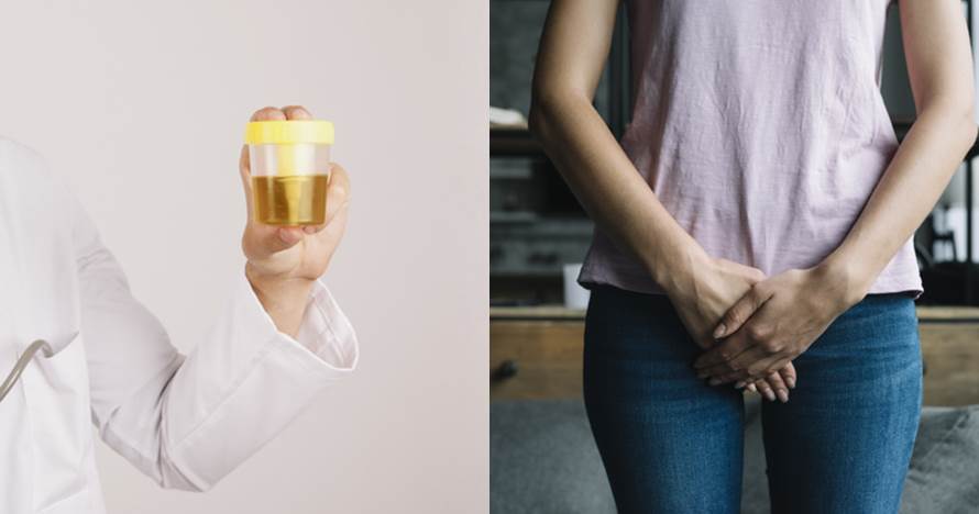 4 Proses pembentukan urine manusia dan mengenal sistem kemih