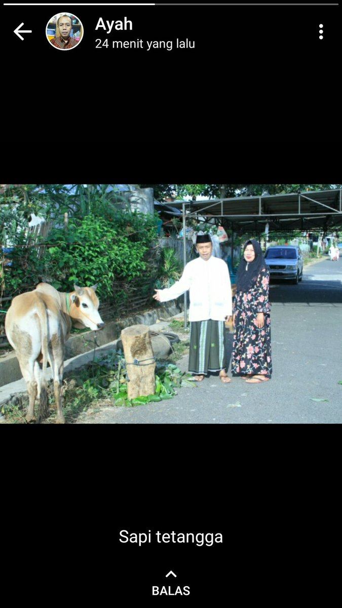 8 Status absurd bapak-bapak di WhatsApp, bikin ngakak