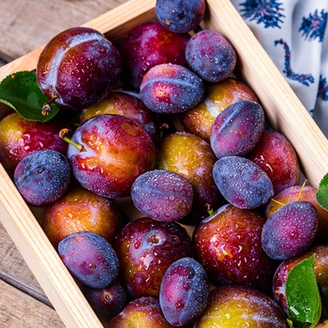 7 Manfaat buah plum untuk wajah, alami dan aman