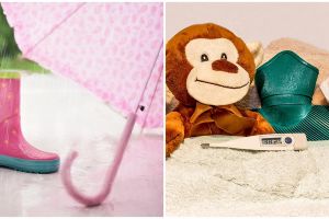 Macam-macam virus yang sering menyerang saat musim hujan