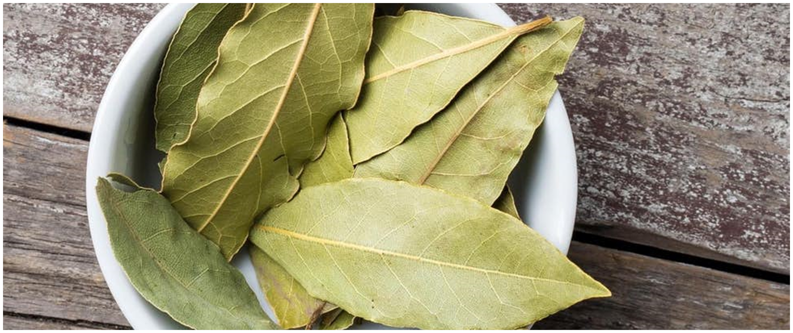15 Manfaat daun salam untuk kesehatan, mengobati asam urat