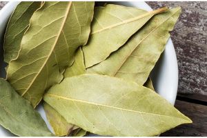 15 Manfaat daun salam untuk kesehatan, mengobati asam urat