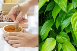 7 Manfaat kunyit asam sirih untuk kesehatan dan kecantikan