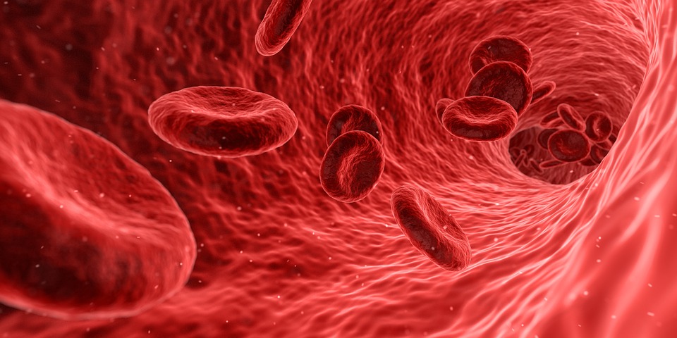 14 Penyebab anemia, gejala dan cara mencegahnya