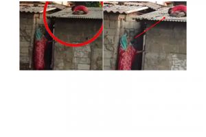 Dicariin emaknya, cara bocah ini sembunyi bikin geleng-geleng