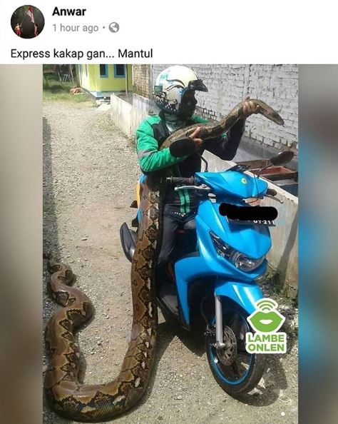8 Kejadian apes driver ojek online, mau ketawa tapi kasihan