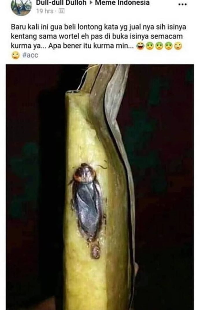 10 Status lucu protes di Facebook ini bikin tepuk jidat