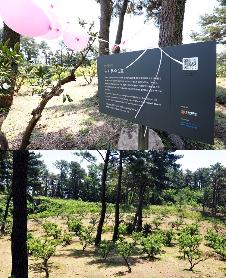 10 Kado luar biasa dari fans idol K-Pop, terbaru fans Kang Daniel