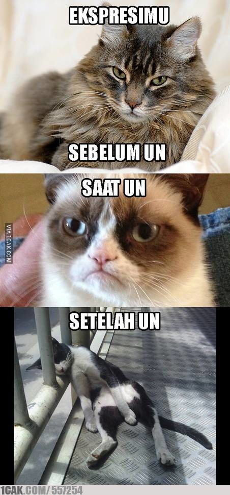 Ujian Nasional dihapus, yuk intip ulang 10 meme kocaknya