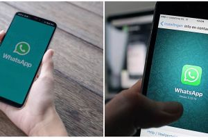 5 Fitur baru WhatsApp yang perlu kamu tahu, makin canggih