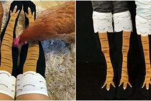 10 Foto kaus kaki ini bikin kaki serasa cakar ayam