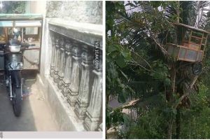 10 Momen apes benda nyangkut ini bikin garuk-garuk kepala