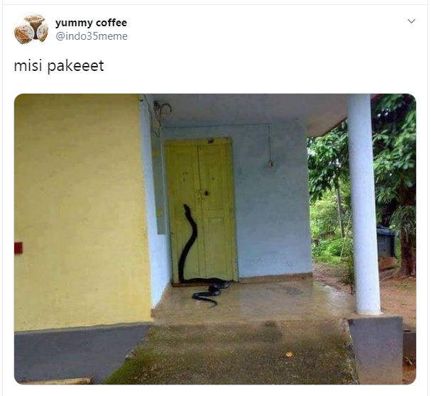 7 Editan foto hewan jadi kurir ini bikin nyengir