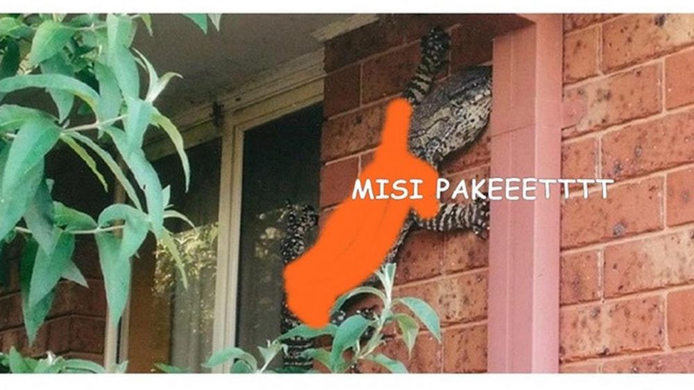 7 Editan foto hewan jadi kurir ini bikin nyengir