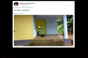 7 Editan foto hewan jadi kurir ini bikin nyengir